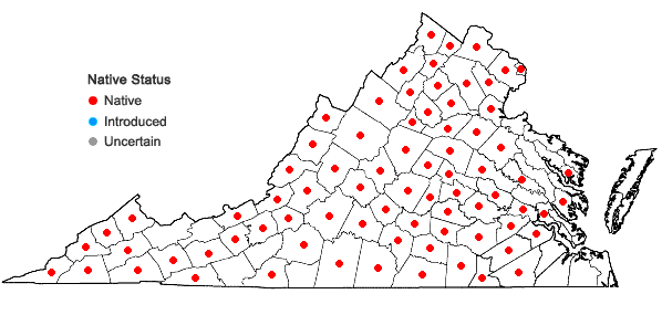 Locations ofStaphylea trifolia L. in Virginia