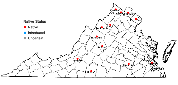 Locations ofSteironema hybridum (Michaux) Raf. ex B.D. Jackson in Virginia