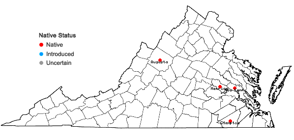 Locations ofSteironema radicans (Hooker) A. Gray in Virginia