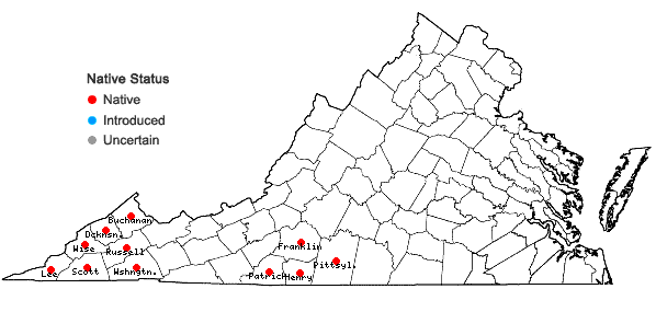 Locations ofSteironema tonsum (Alph. Wood) E.P. Bicknell ex Britton in Virginia