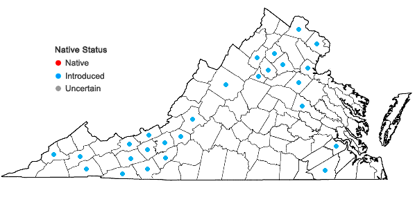 Locations ofStellaria aquatica (L.) Scopoli in Virginia