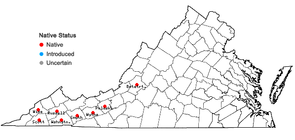 Locations ofStellaria corei Shinners in Virginia