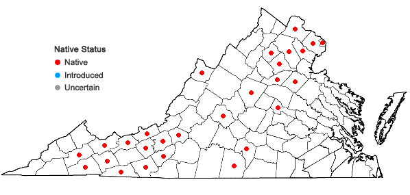 Locations ofStellaria longifolia Muhl. in Virginia