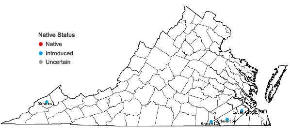 Locations ofStellaria pallida (Dumort.) Crepin in Virginia