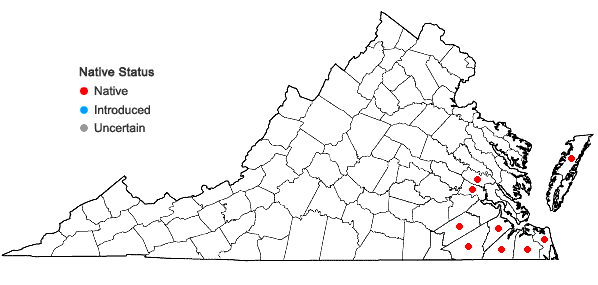 Locations ofStewartia malacodendron L. in Virginia