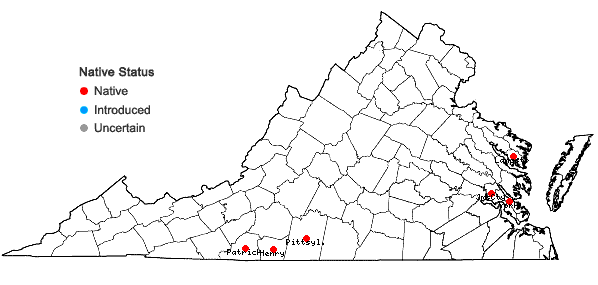 Locations ofStewartia ovata (Cav.) Weatherby in Virginia