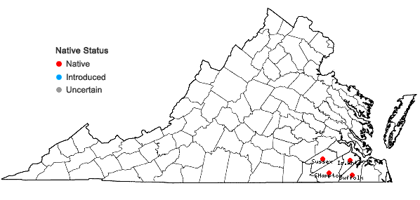 Locations ofStillingia sylvatica Garden ex L. in Virginia