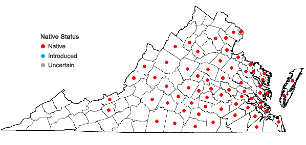 Locations ofStrophostyles helvola (L.) Ell. in Virginia