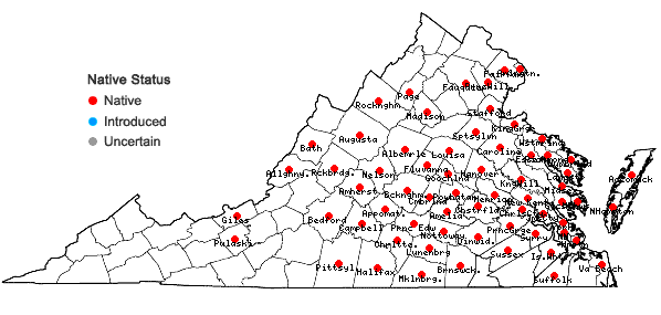 Locations ofStrophostyles helvola (L.) Ell. in Virginia