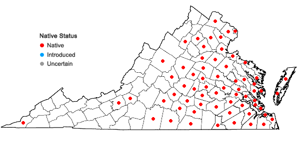Locations ofStrophostyles umbellata (Muhl. ex Willd.) Britt. in Virginia
