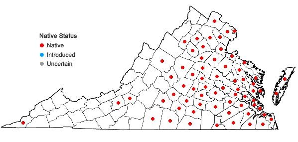 Locations ofStrophostyles umbellata (Muhl. ex Willd.) Britt. in Virginia