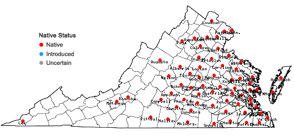 Locations ofStrophostyles umbellata (Muhl. ex Willd.) Britt. in Virginia