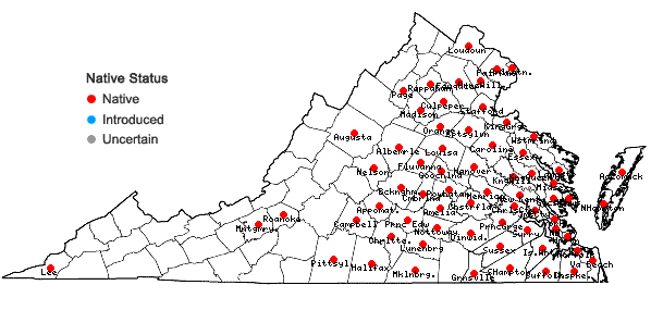 Locations ofStrophostyles umbellata (Muhl. ex Willd.) Britt. in Virginia