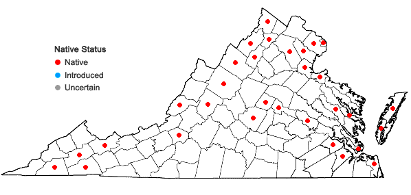 Locations ofStuckenia pectinata (L.) Borner in Virginia