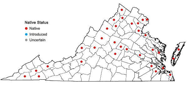 Locations ofStuckenia pectinata (L.) Borner in Virginia