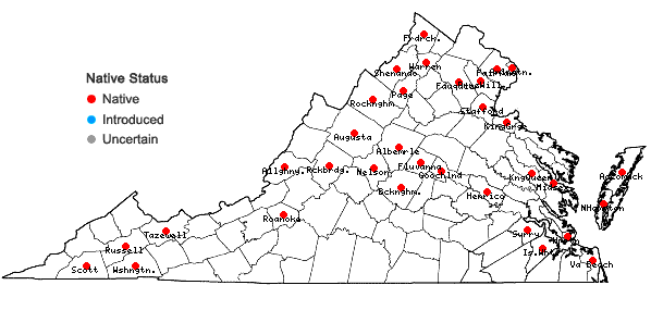 Locations ofStuckenia pectinata (L.) Borner in Virginia