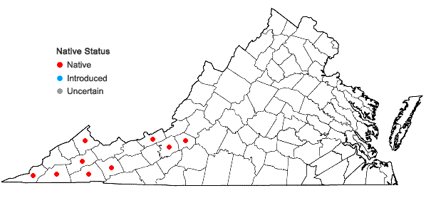 Locations ofStylophorum diphyllum (Michaux)  Nuttall in Virginia