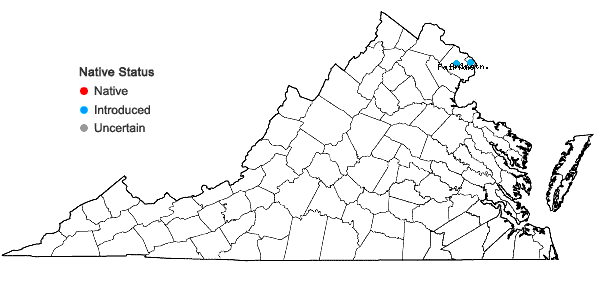 Locations ofStyphnolobium japonicum (L.) Schott in Virginia