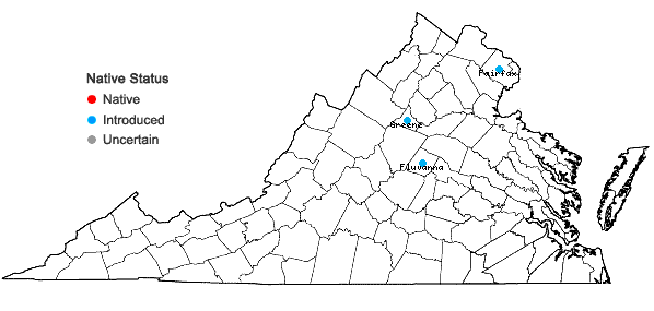 Locations ofStyrax japonicus Sieb. & Zucc. in Virginia