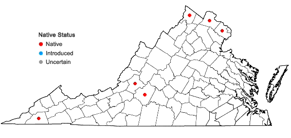 Locations ofSwida obliqua (Raf.) Moldenke in Virginia