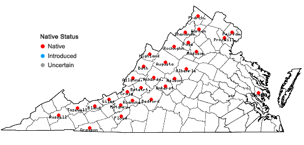 Locations ofSwida racemosa (Lamarck) Moldenke in Virginia