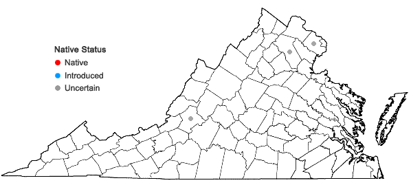 Locations ofSwida sericea (L.) Holub in Virginia