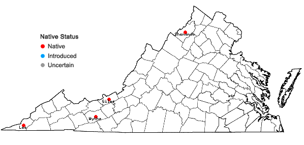 Locations ofSymphoricarpos albus (L.) Blake var. albus in Virginia