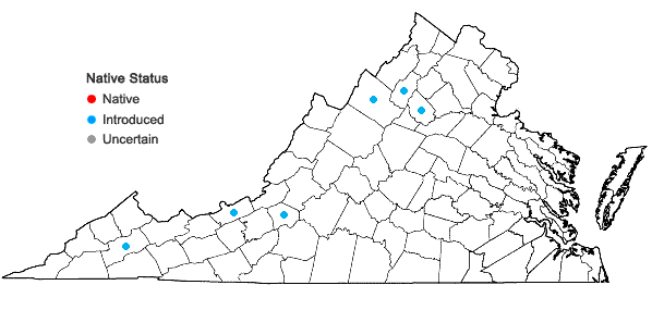 Locations ofSymphoricarpos albus (L.) Blake var. laevigatus (Fern.) Blake in Virginia