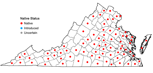 Locations ofSymphyotrichum dumosum (L.) Nesom var. dumosum in Virginia