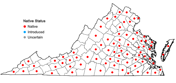 Locations ofSymphyotrichum dumosum (L.) Nesom var. dumosum in Virginia