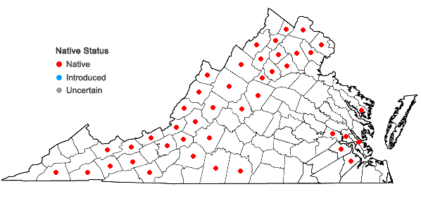 Locations ofSymphyotrichum laeve (L.) A. & D. Love in Virginia