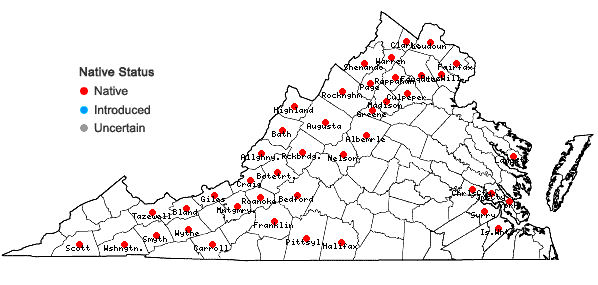 Locations ofSymphyotrichum laeve (L.) A. & D. Love in Virginia