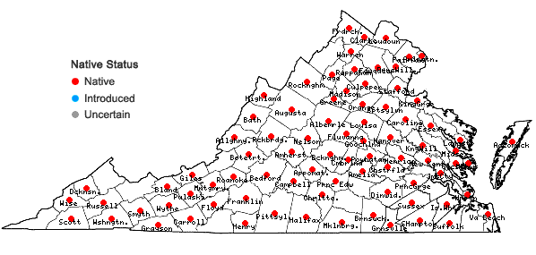 Locations ofSymphyotrichum lanceolatum (Willd.) Nesom in Virginia