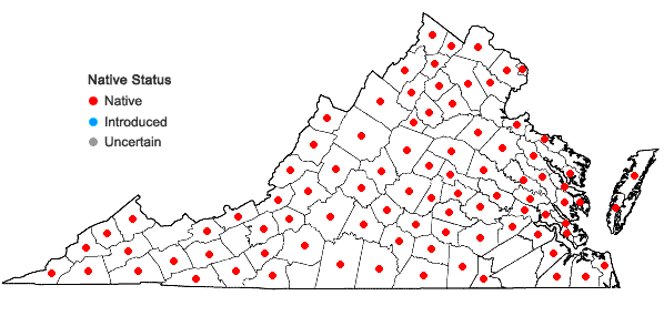 Locations ofSymphyotrichum lateriflorum (L.) A.& D. Love in Virginia