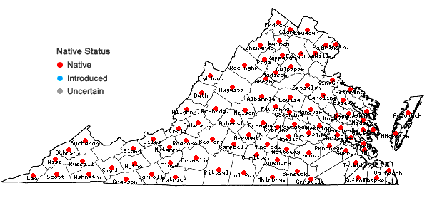 Locations ofSymphyotrichum lateriflorum (L.) A.& D. Love in Virginia