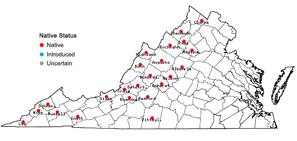 Locations ofSymphyotrichum lowrieanum (Porter) Nesom in Virginia