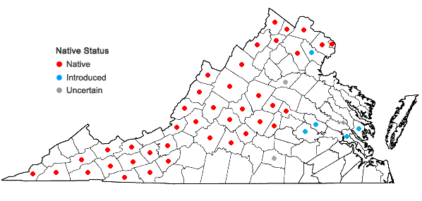Locations ofSymphyotrichum novae-angliae (L.) Nesom in Virginia