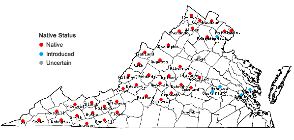 Locations ofSymphyotrichum novae-angliae (L.) Nesom in Virginia