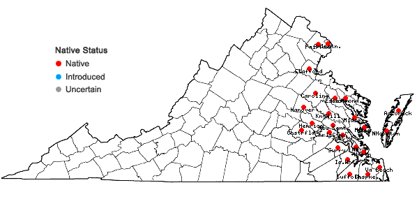 Locations ofSymphyotrichum novi-belgii (L.) Nesom in Virginia