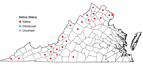 Locations ofSymphyotrichum oblongifolium (Nutt.) Nesom in Virginia