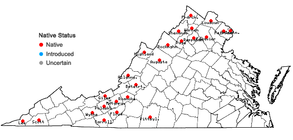 Locations ofSymphyotrichum oblongifolium (Nutt.) Nesom in Virginia