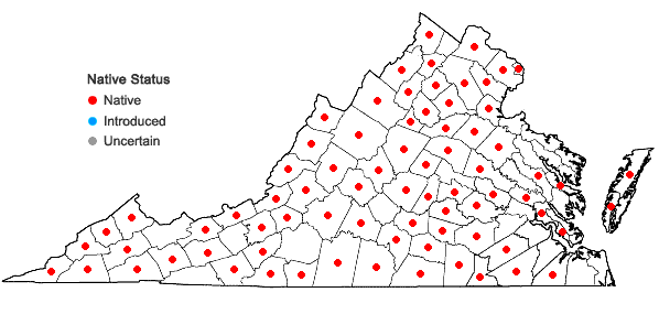 Locations ofSymphyotrichum patens (Ait.) Nesom var. patens in Virginia