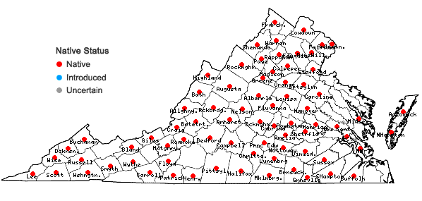 Locations ofSymphyotrichum patens (Ait.) Nesom var. patens in Virginia