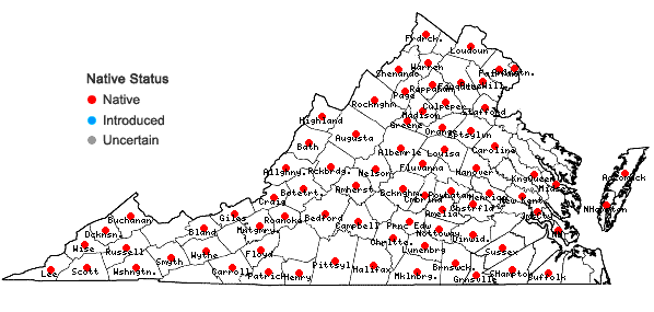 Locations ofSymphyotrichum patens (Ait.) Nesom var. patens in Virginia