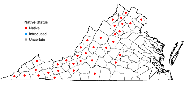 Locations ofSymphyotrichum phlogifolium (Muhl. ex Willd.) Nesom in Virginia