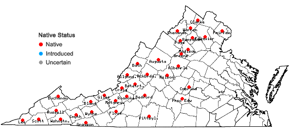 Locations ofSymphyotrichum phlogifolium (Muhl. ex Willd.) Nesom in Virginia