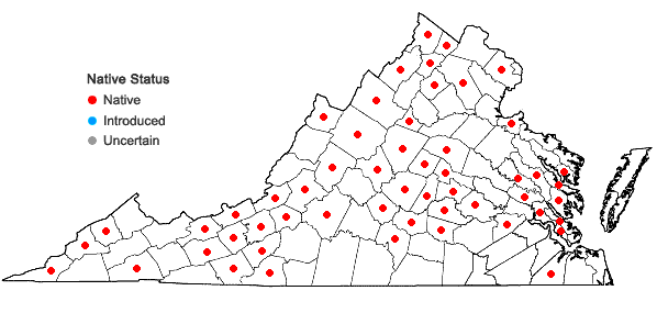 Locations ofSymphyotrichum pilosum (Willd.) Nesom var. pilosum in Virginia