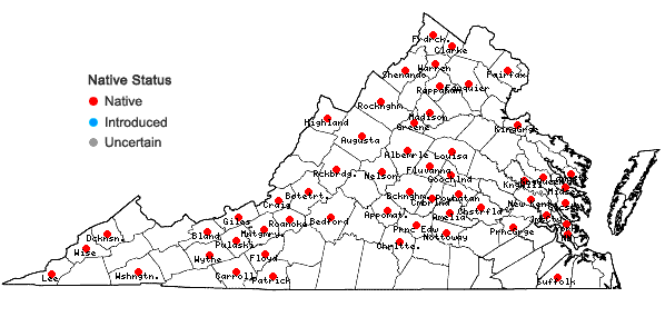 Locations ofSymphyotrichum pilosum (Willd.) Nesom var. pilosum in Virginia