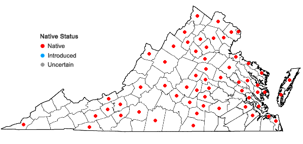 Locations ofSymphyotrichum pilosum (Willd.) Nesom var. pringlei (Gray) Nesom in Virginia