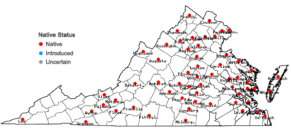 Locations ofSymphyotrichum pilosum (Willd.) Nesom var. pringlei (Gray) Nesom in Virginia